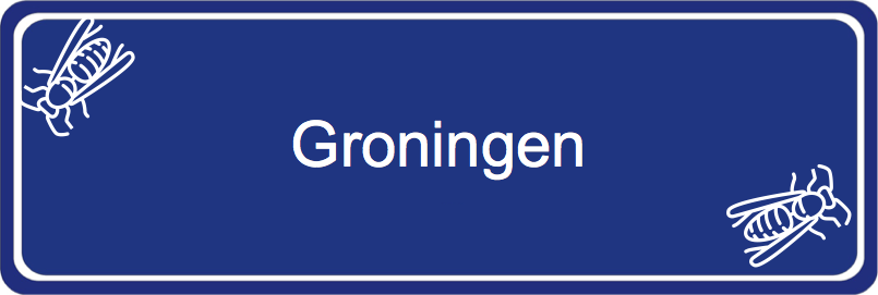 Wespenbestrijder Groningen