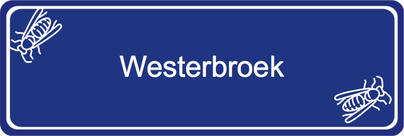 Wespenbestrijder Westerbroek
